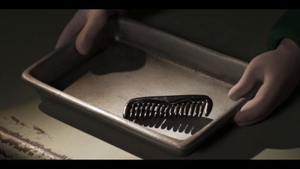 'Wallace & Gromit 2' teaser