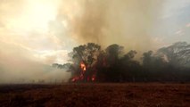 Fires in Brazil wetlands surge as drought looms - REUTERS