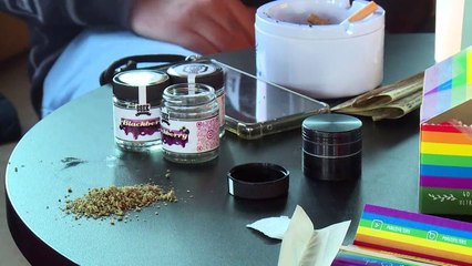 Bundestag beschließt Cannabis-Grenzwert im Straßenverkehr