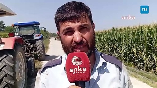 Buğday taban fiyatına tepki gösteren çiftçi: Zarar etti çiftçi, tarlasını ekemez hale geldi