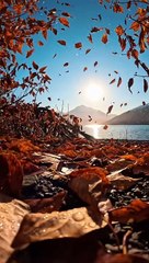 Islmaic short video #islamic #short