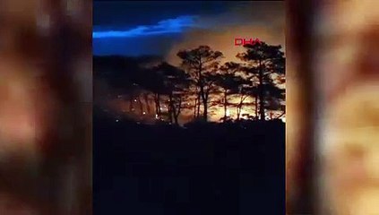 Marmaris'te orman yangını: Cennet 1,5 saatte cehenneme döndü
