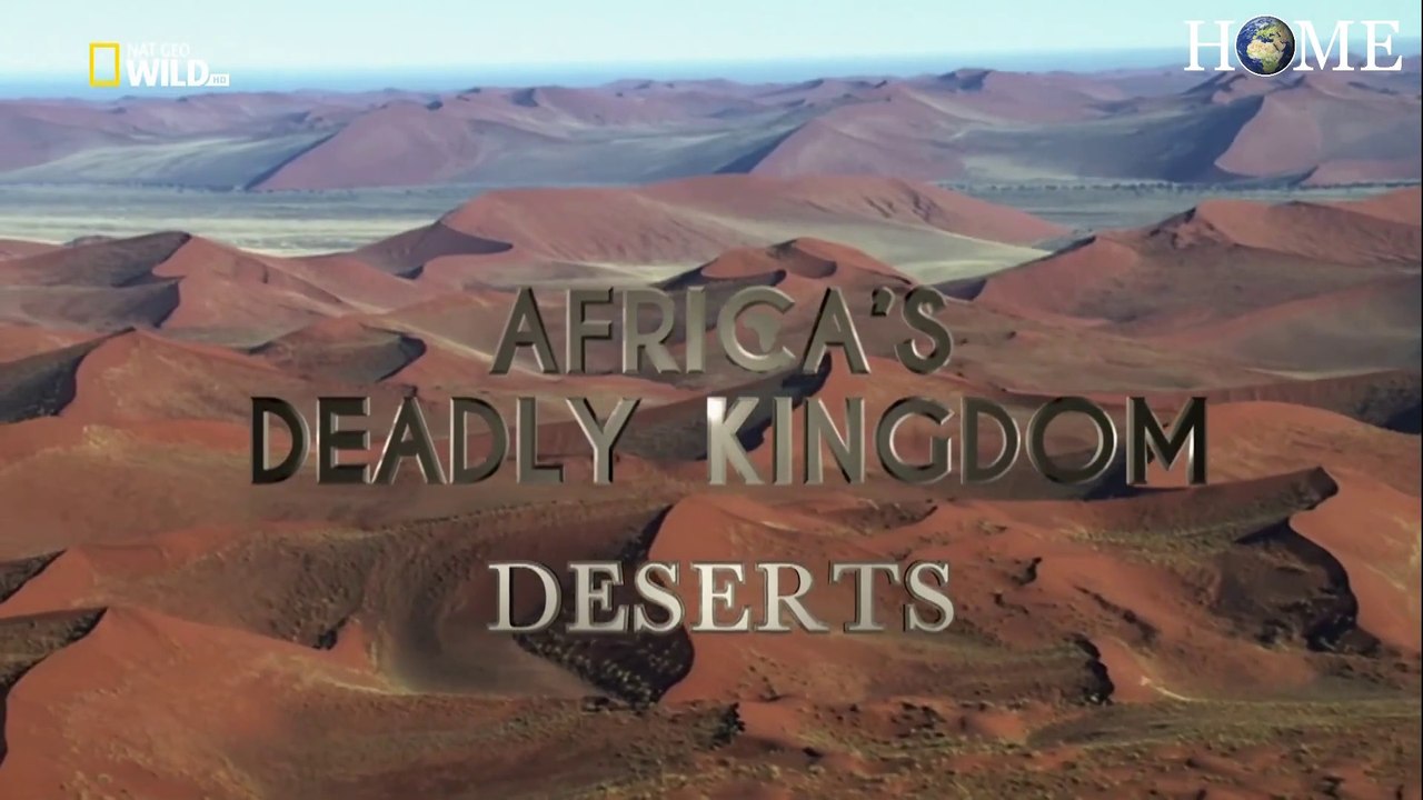 Africa's Deadly Kingdom Ep4 -Desert - HD 1080p
