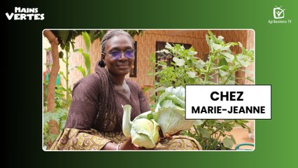 Mains Vertes : Chez Marie-Jeanne