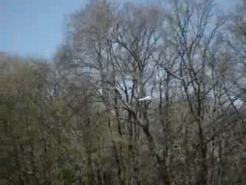 Vol° 4 | Cessna 182 rc