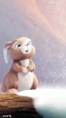 cute bunnies and fairy