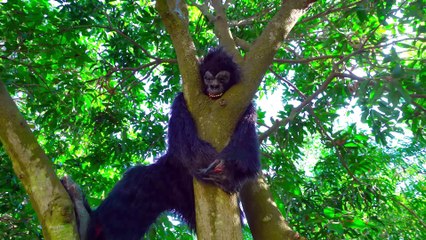 Must Watch New Game Special Comedy Video 2023 Totally Amazing Comedy Episode_2K