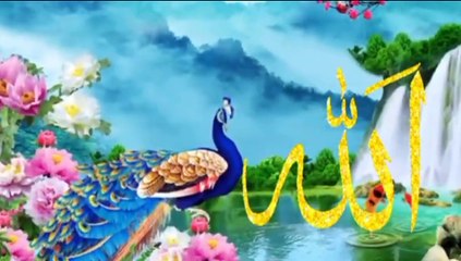 #AllhA 99 Name