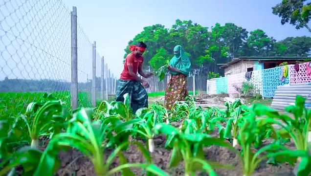 Must Watch New Special Comedy Video 2024 Totally Amazing Comedy 2023 Episode 264 By Bidik Fun Tv