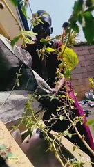 Mr. Dangerous and Problems always:  Pranks Gone Extremely Wrong ‍♀️ African Funniest  