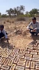 Surviving of animals in desert