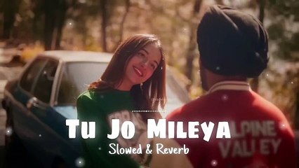 Tu Jo Mileya - The Best Song to Listen To 🎶