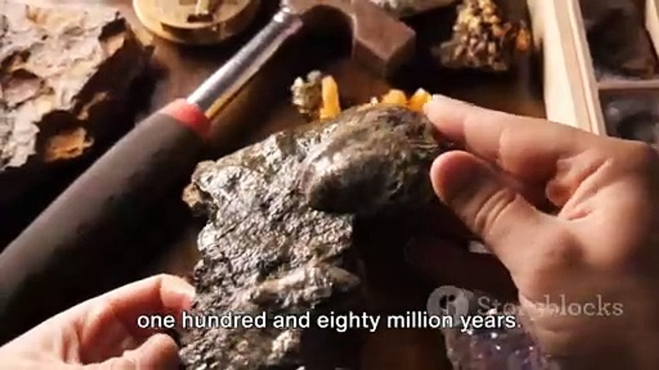 Dinosaurs_Unearthed__A_Journey_Back_in_Time(720p)