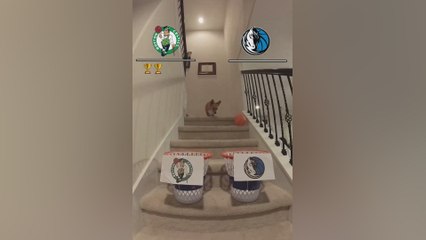 El famoso perrito predice el ganador de la NBA