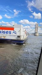 65CBE88E-BA9B-49BC-923C-CE326838FB6F