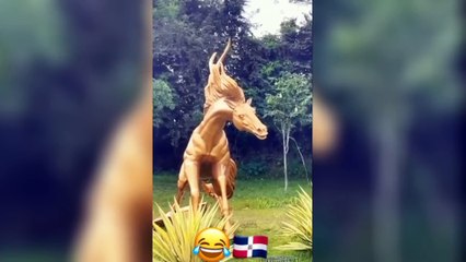Funny Videos Compilation  Pranks - Amazing Stunts - By The Entertainment Hub #3