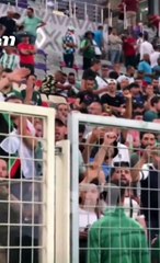 Algérie-Guinée (1-2) : "Brahimi, dégage !"