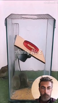 mouse trap video electric mousetrap water mouse trap Make a mouse trap with a plastic box