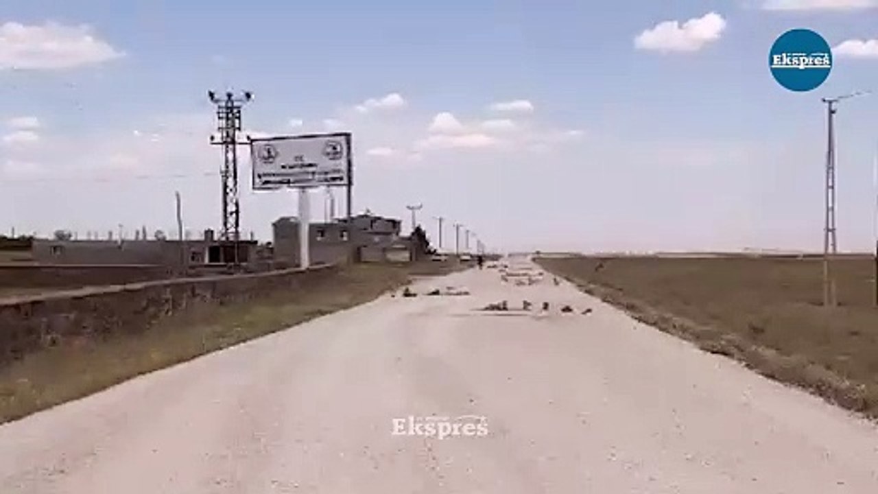 Diyarbakır Besi OSB'deki firmaların büyük mağduriyeti