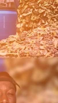 Abonne-toi pour suivre d’autres solutions positives ! @theimpactstory Source : fuwa biotech, business insider #ananas #fruits #lessive #invention #innovations #environnement #produitsmenagers