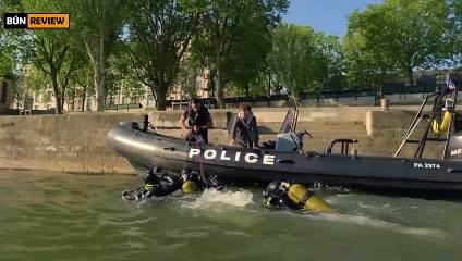 Cá mập đột biến siêu khủng có khả năng sinh sản vô hạn xuất hiện trên sông - Review phim Under Paris