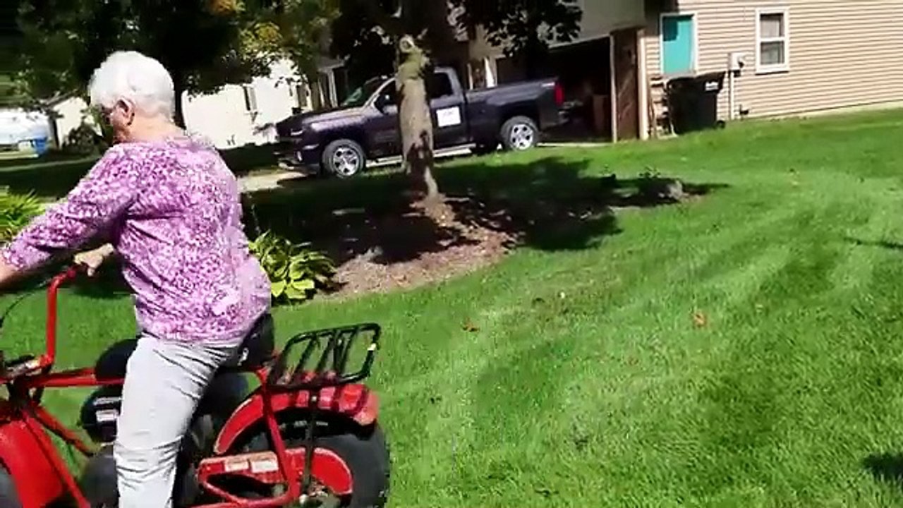Things We Feel Bad LAUGHING AT!  || Funny Videos