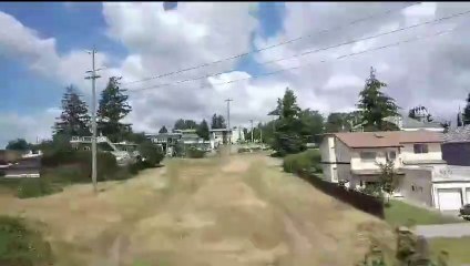 VID-20240607-WA0016 Greenery