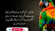 Aurat Kya Hai ! Best Urdu Quotes About Women ! Heart Touching Quotes Urdu Quotations ! Women Quotes