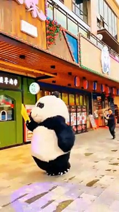 Funny moment panda