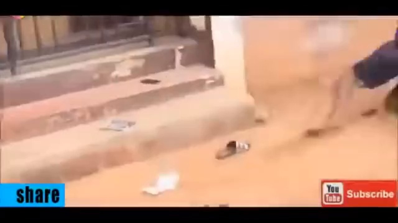 Funny video