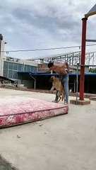 My channel about funny video .