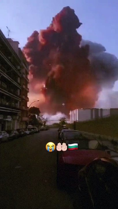 Tmate.cc_1717748813