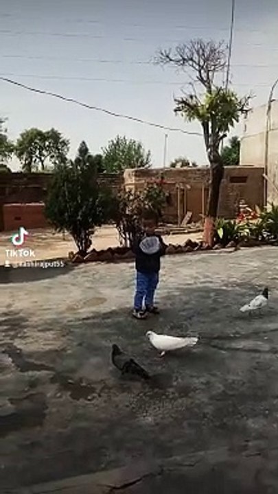 Raja