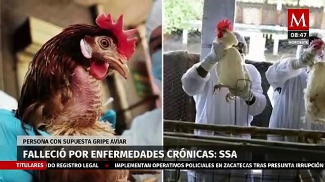 SSA niega la muerte de hombre infectado por gripe aviar, aseguran fue por enfermedades crónicas