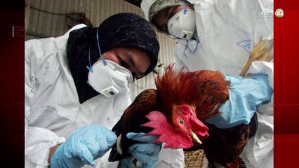 Aclaran que la primera muerte con gripe aviar H5N2 no fue por el virus