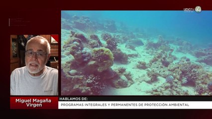 Programas integrales y permanentes de protección ambiental | Miguel Magaña