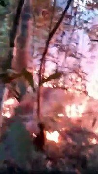 Piloto de Umuarama morre após queda de avião em Sorriso; passageiro também faleceu