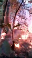 Piloto de Umuarama morre após queda de avião em Sorriso; passageiro também faleceu