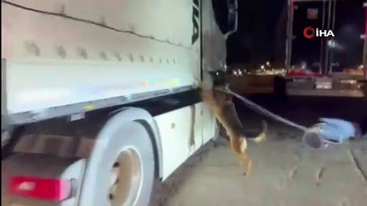 Adana’da bir tırda 64 kilogram skunk ele geçirildi