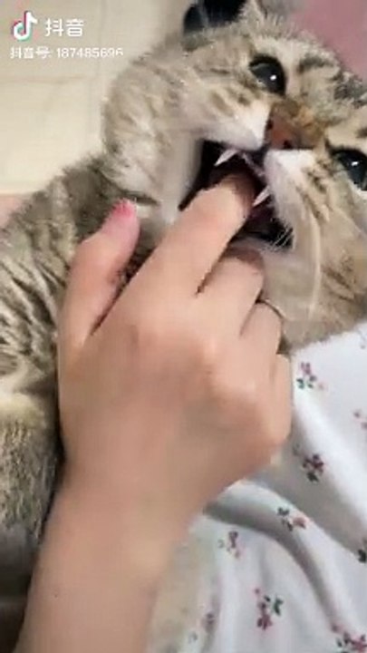#Delhi Cute#Dailymotion#shorts#video#viral