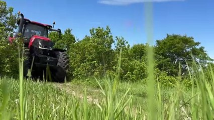 Flash économique | Service Agro Mécanique à Saint-Pascal