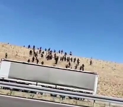 Pakistan 1 milyon Afgan göçmeni sınır dışı edecek. Türkiye yeni yıla Afganlarla mı girecek