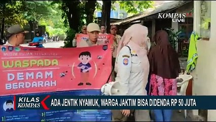 Pemkot Jakarta Timur Berencana Denda Rp 50 Juta Jika Temukan Jentik Nyamuk di Rumah Warga