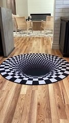 Dogs funny reaction to entering optical illusion rug! #shorts