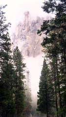 Nature beauty short video 2024