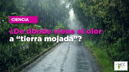 ¿De dónde viene el olor a “tierra mojada”?