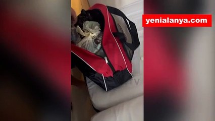 Alanya'da tatil yapan Rus çiftin valizlerinden çıkanlar şok etti. 10 tane valizi ağzına kadar doldurmuşlar