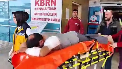 Kangal köpeği inşaat işçisini hastanelik etti