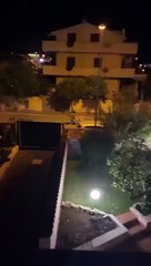 Sirkten kaçan aslan Roma’yı esir aldı. Dışarıda başıboş görenlerin aklı çıktı
