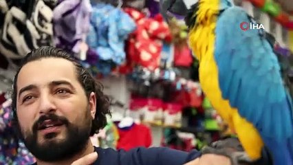 Güzelliği ve fiyatıyla dikkat çekiyor